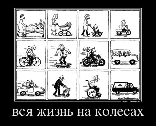 ���������� #1911274
