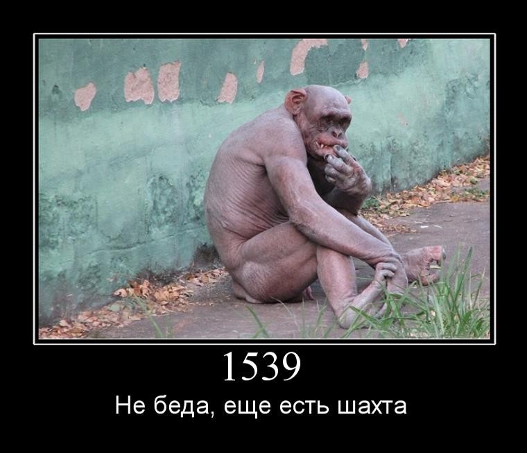 ���������� #1911772