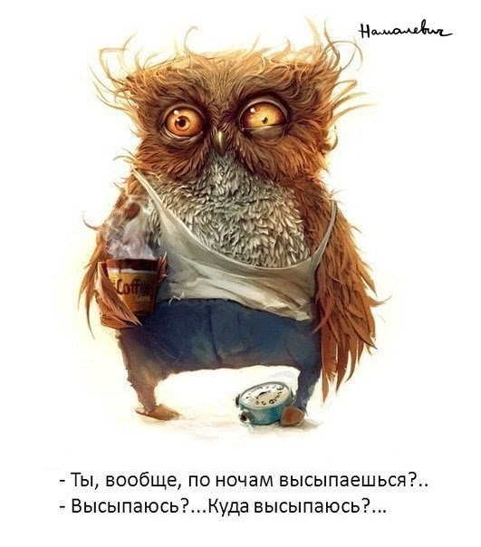 ���������� #1914010