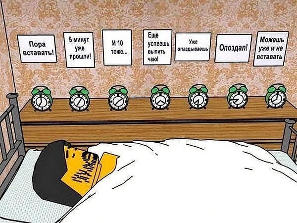 ���������� #1916116