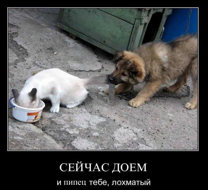 ���������� #1916176