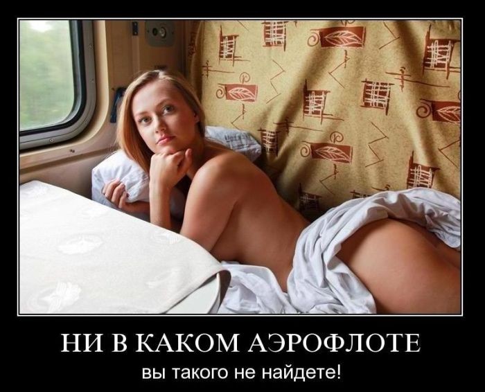 ���������� #1916185