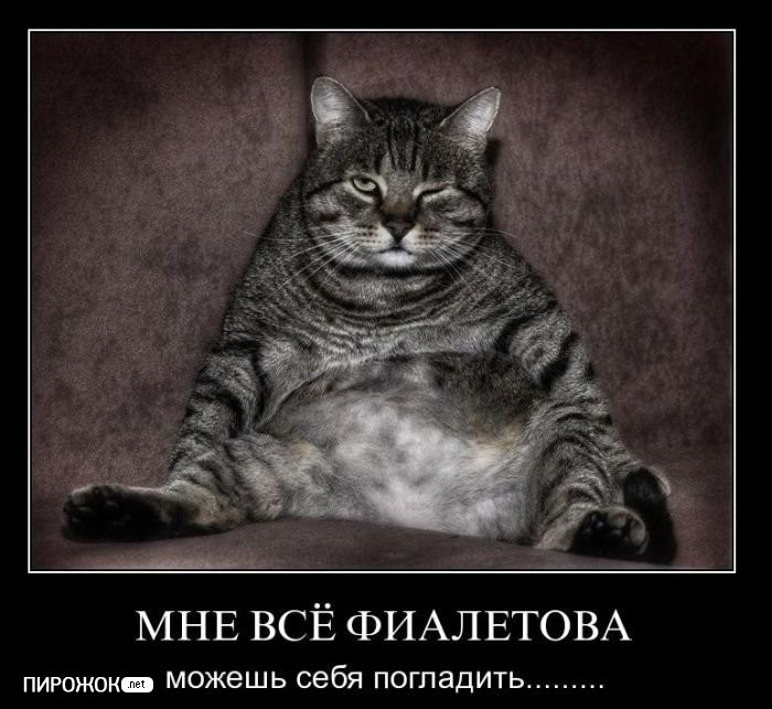 ���������� #1916190