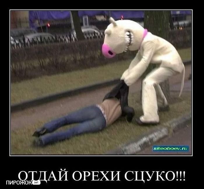 ���������� #1916191