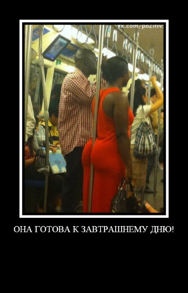 ���������� #1916532