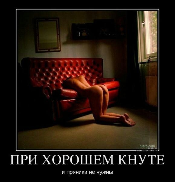 ���������� #1926146