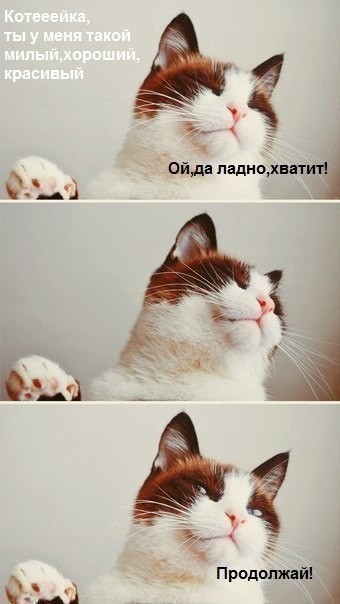 �������:)
