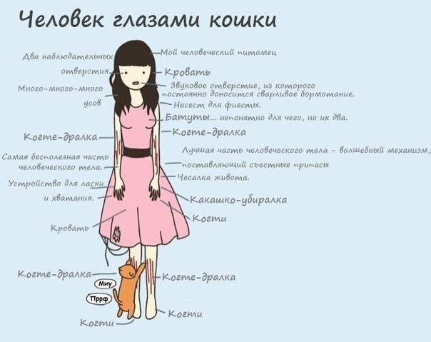 =)
