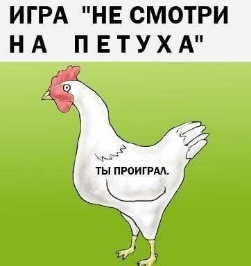 ���������� #1930126