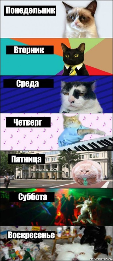 =)