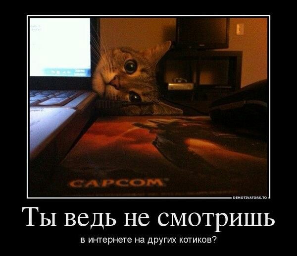 ���������� #1931634