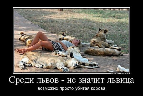 ���������� #1931642