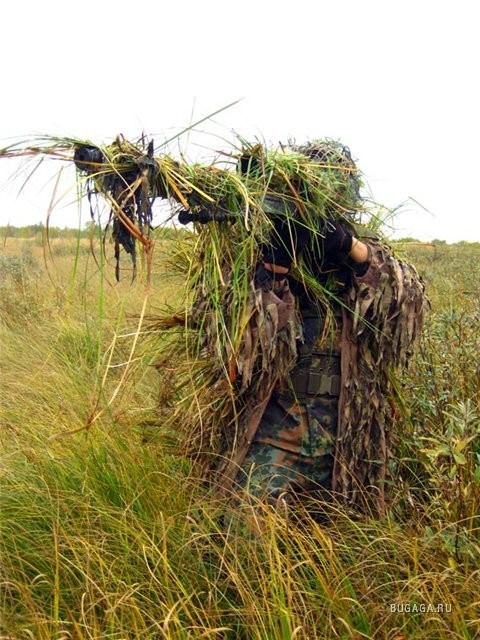 ���������� #1932471