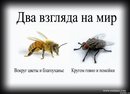���������� #1933751