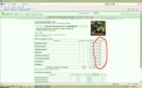 ���������� #1935425