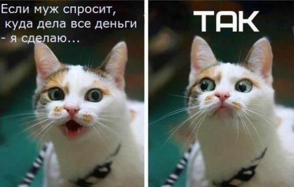 ���������� #1930684