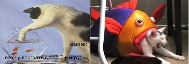 ���������� #1930827