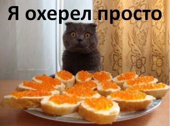 ���������� #1930835