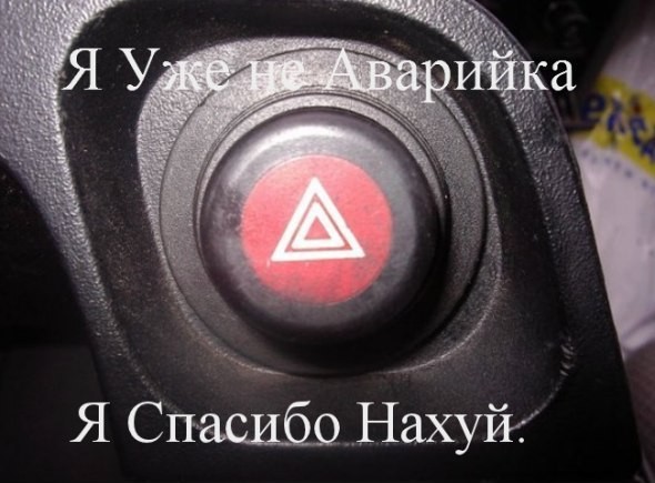 ���������� #1930837