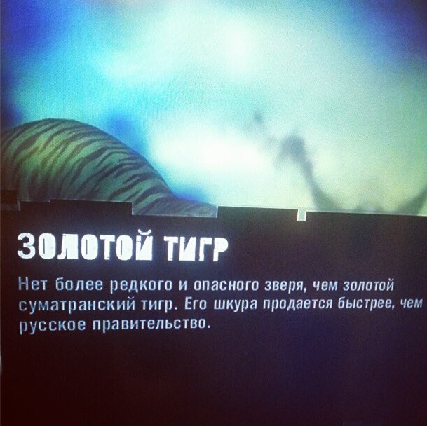 ���������� #1941747