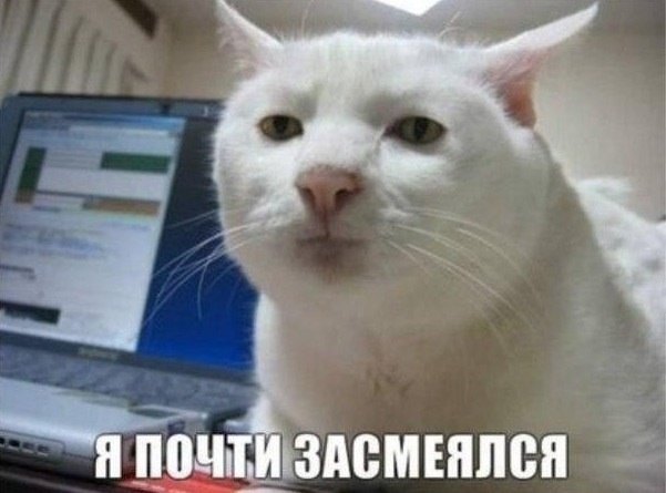���������� #1942272