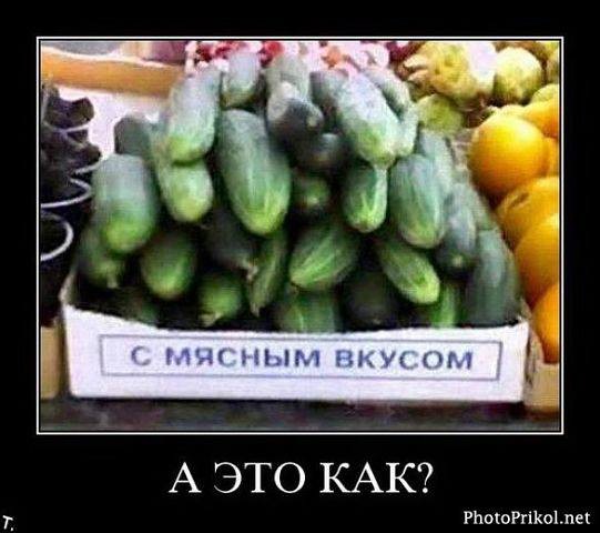 ���������� #1942301