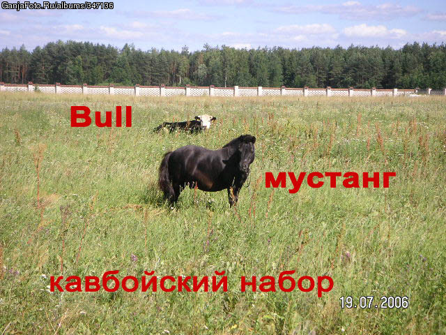 ���������� #1943877