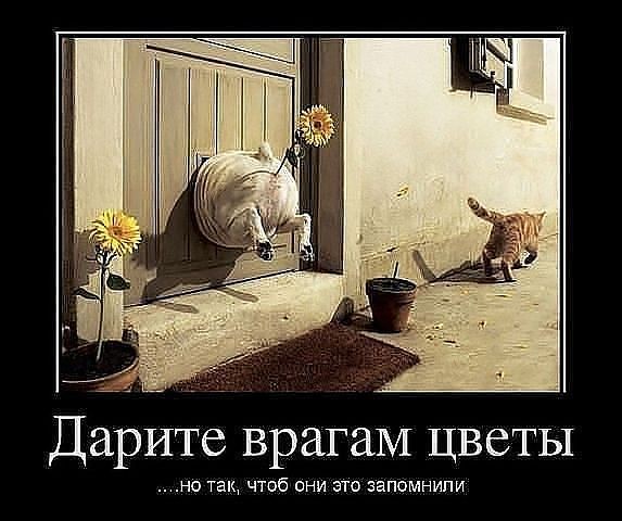 ���������� #1945529