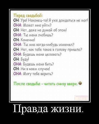 ���������� #1946503