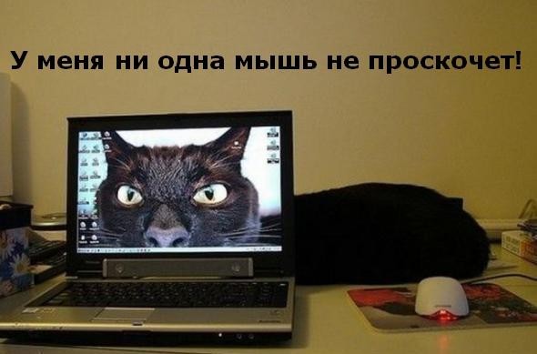 ���������� #1958622