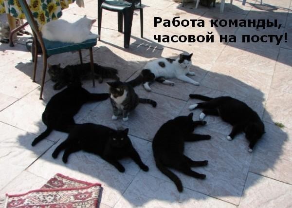 ���������� #1958626