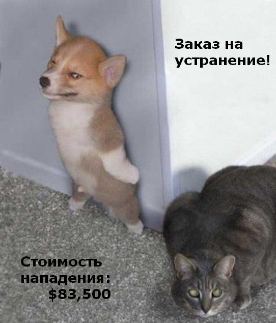 ���������� #1958627