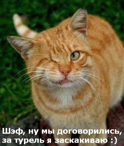 ���������� #1958628