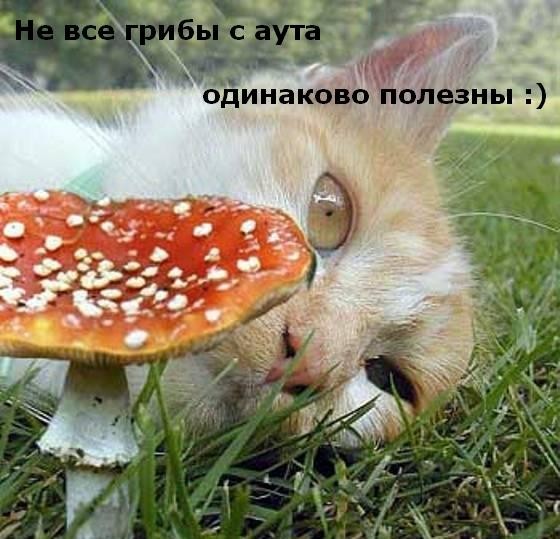 ���������� #1958629