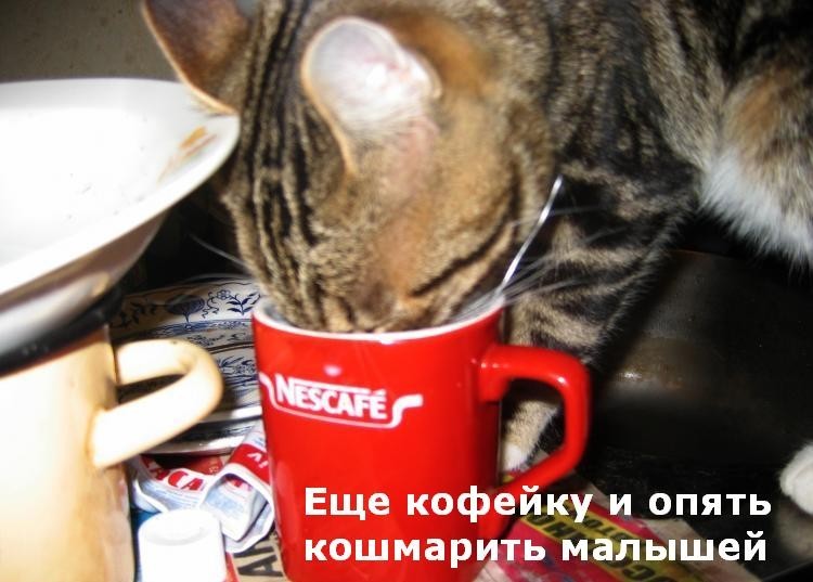 ���������� #1958630
