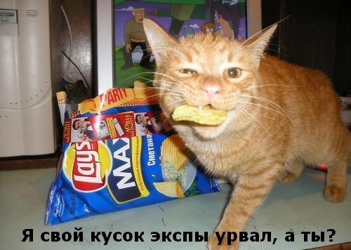 ���������� #1958632