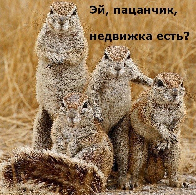 ���������� #1958636