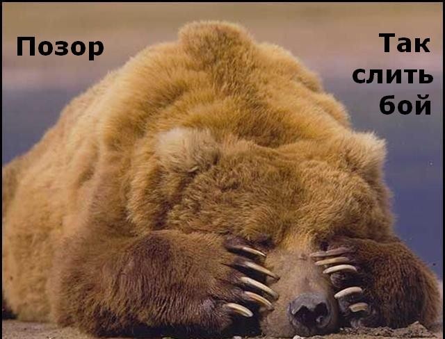 ���������� #1958637
