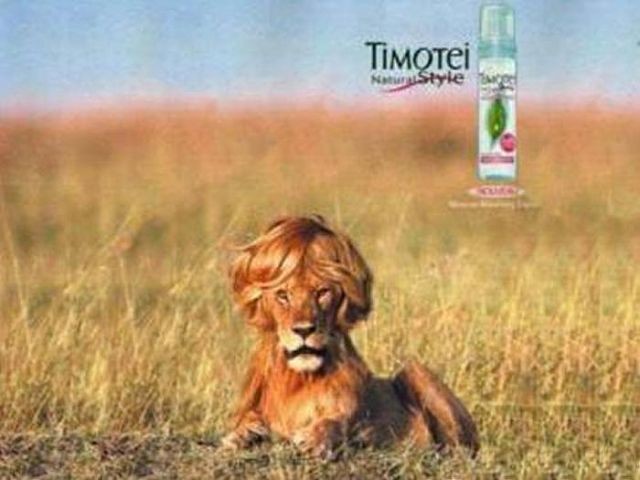 ���������� #1958927