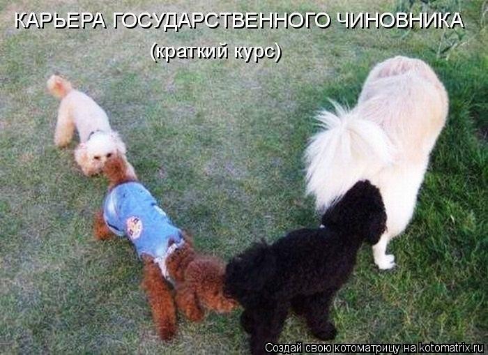 ���������� #1958931