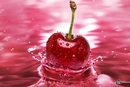 *Water&Cherry*)))