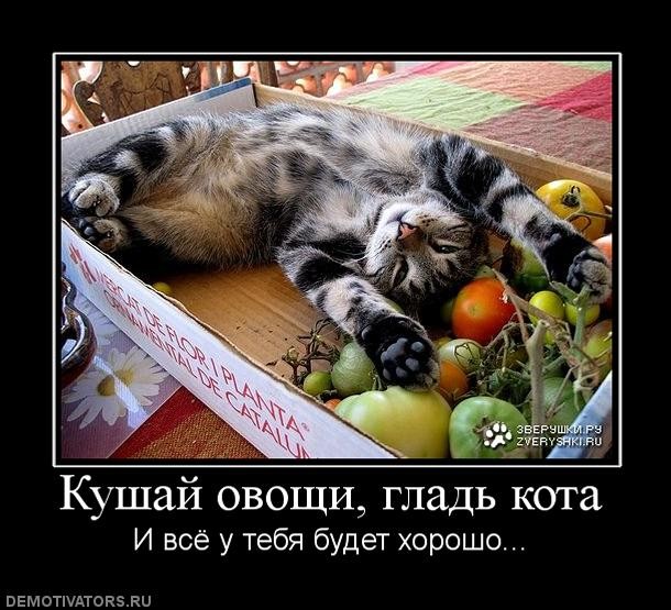 ���, ��� ���������� ��� ���������! %3