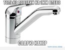 ���������� #1965433