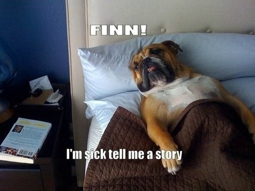 ���������� #1969423