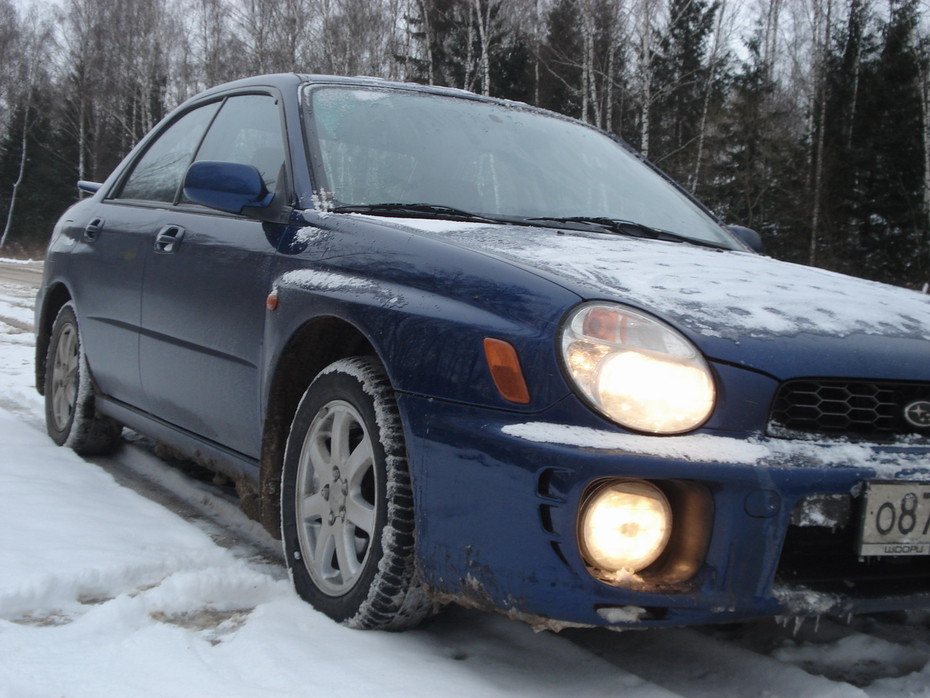 ���������� #1979690