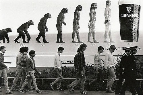 #Evolution?