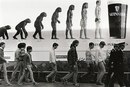 #Evolution?