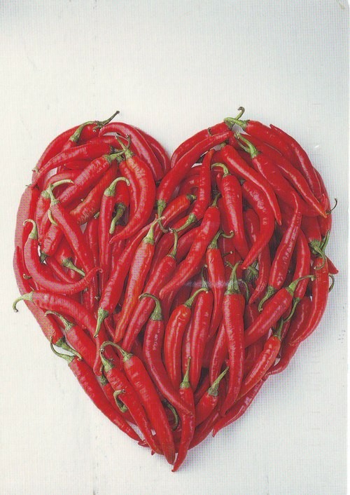 HotLove)
