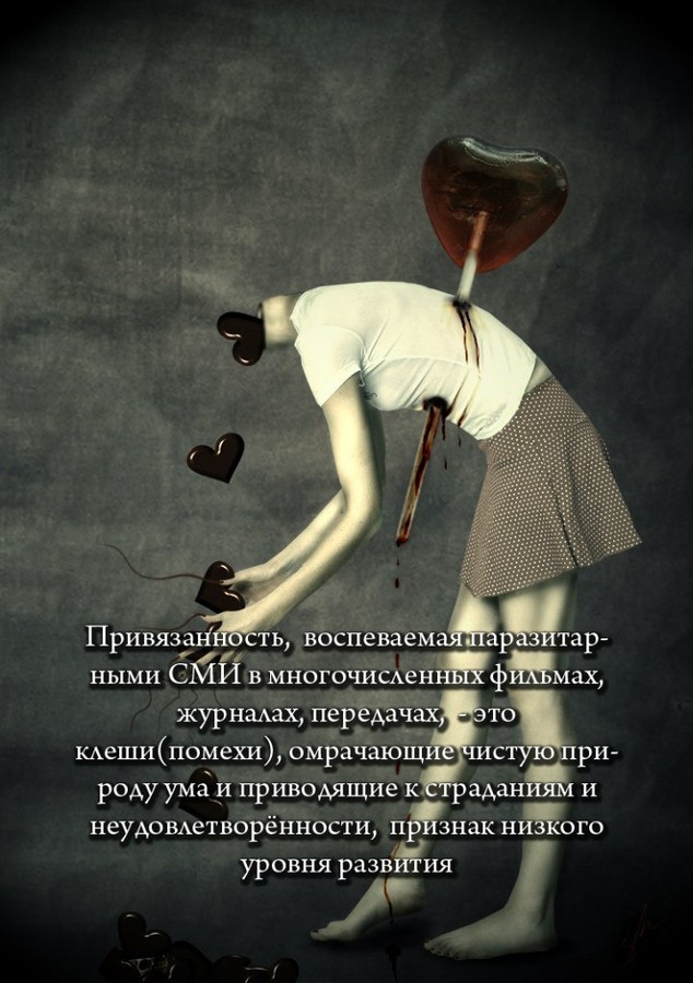 ���������� #1986573