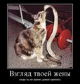 ���������� #1988468
